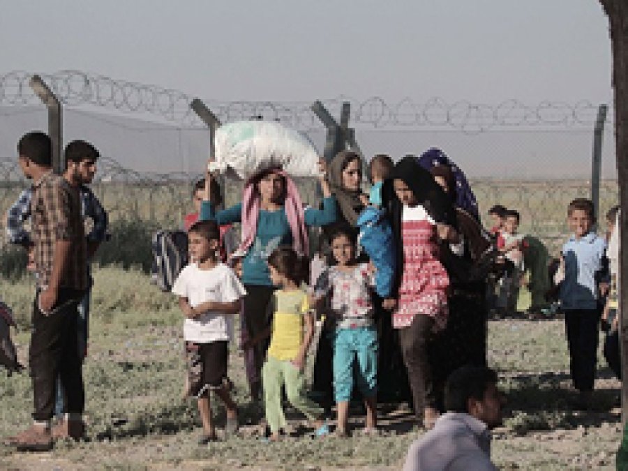 800 Suriyeli Türkiye'ye giriş yaptı
