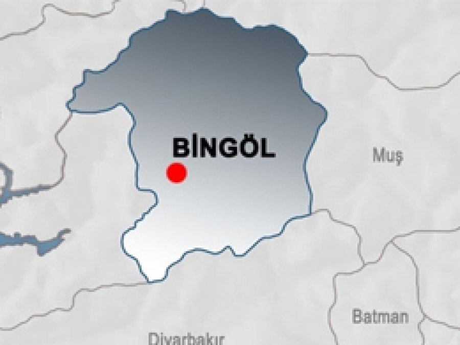 Bingöl'de 11 kişi gözaltına alındı