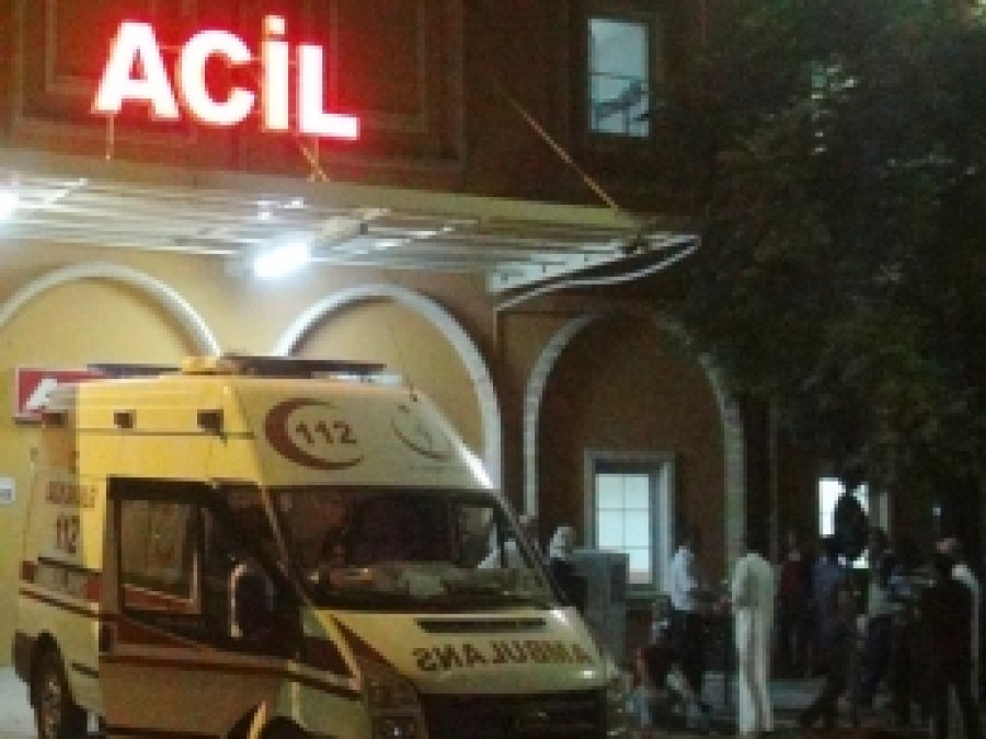 Mardin'de domuz gribinden bir kişi öldü
