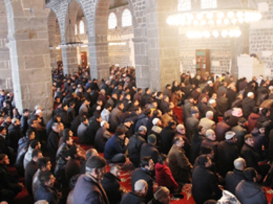 'Allah camileri yakanları kahretsinr'