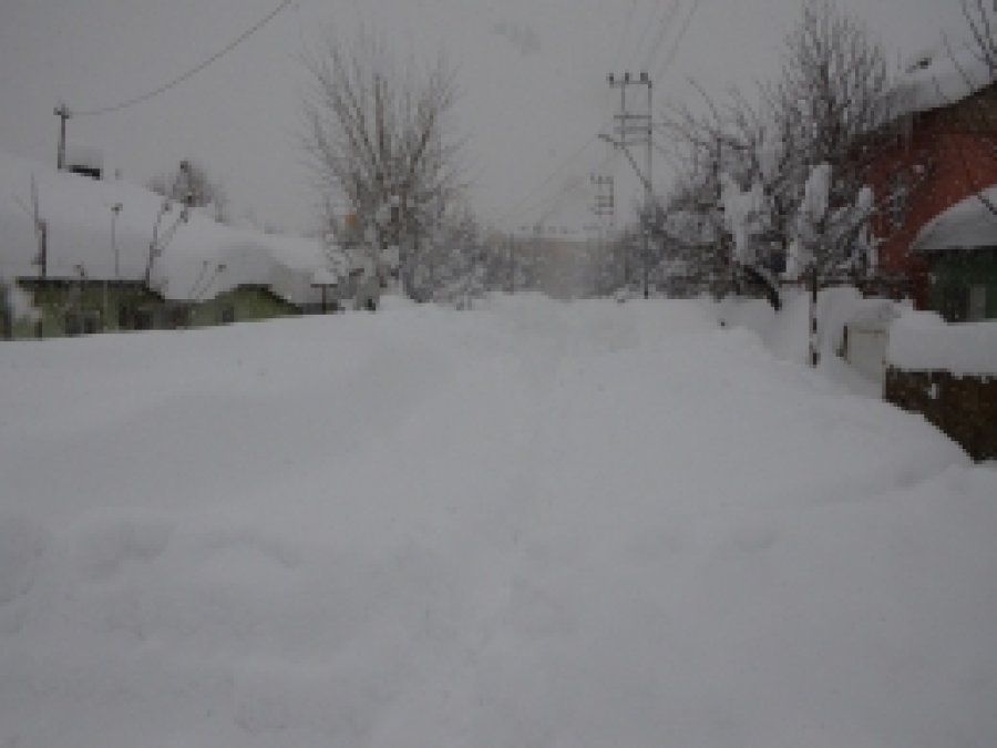 Bitlis'te tek katlı evler kara gömüldü