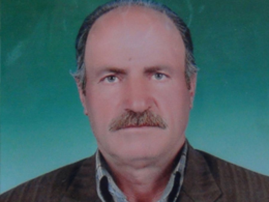 Yaşlı adamı oğulları katletti