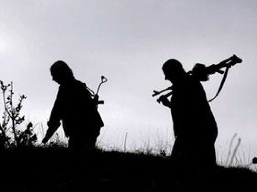 Muş'ta PKK'ye katılan genç teslim oldu