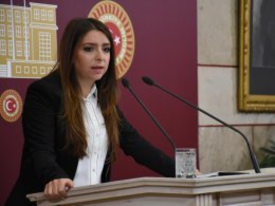 HDP’li Çelik’e 6 yıl hapis cezası verildi