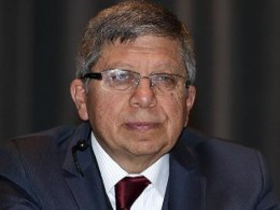 Almanya'nın 'Almanyalı Osmanlılar' raporuna Çevik de girdi