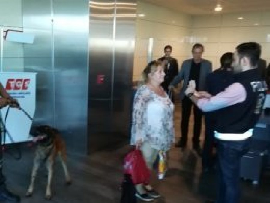Türkiye'den Avusturya’ya köpek misillemesi