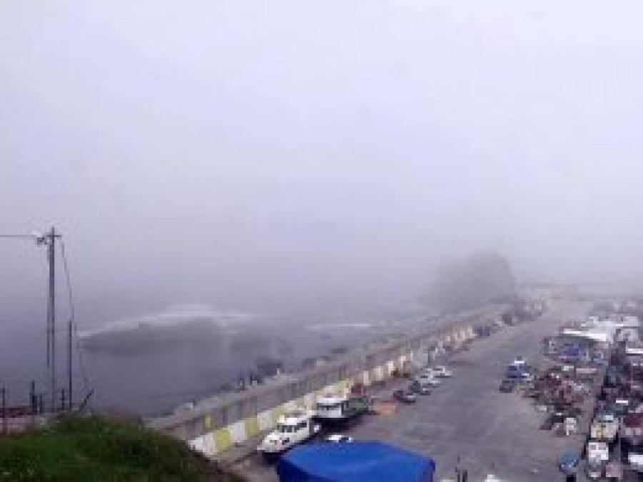 Rus askeri gemisi ile hayvan taşıyan gemi çarpıştı