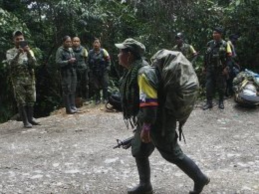 Kolombiya'da 320 FARC militanı serbest bırakıldı