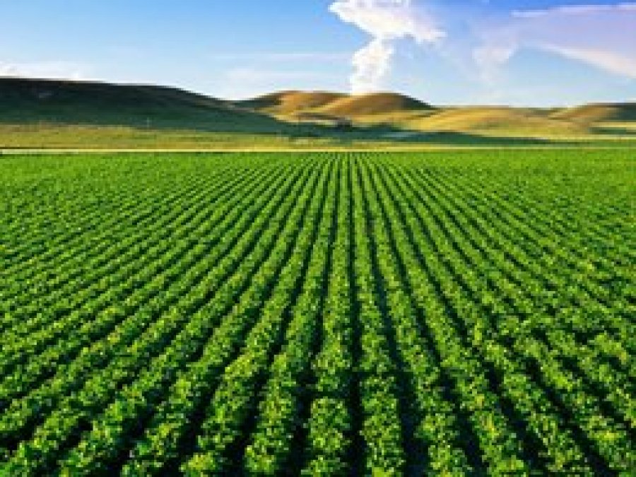 'Yaşam kaynağı için 2050'de iki günya gerekecek'