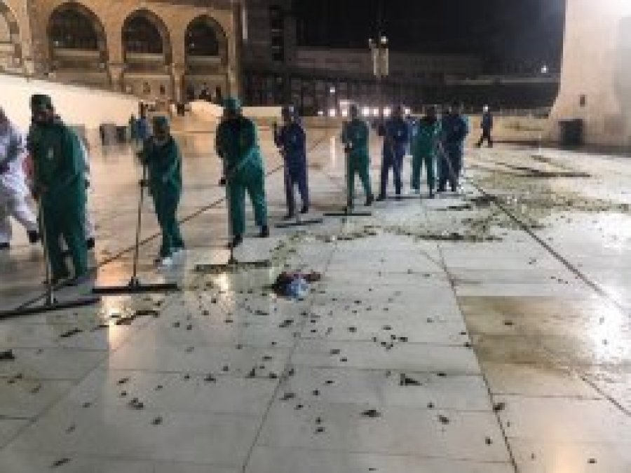Mekke'yi çekirgeler ve hamam böcekleri bastı