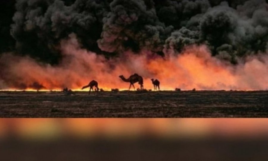 Avustralya’da orman yangınları ve  deve katliamları