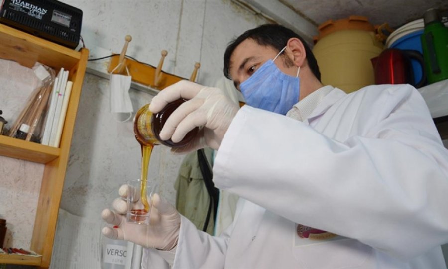 Üniversite mezunu gemi kaptanı, 10 yıldır arıcılık yapıyor