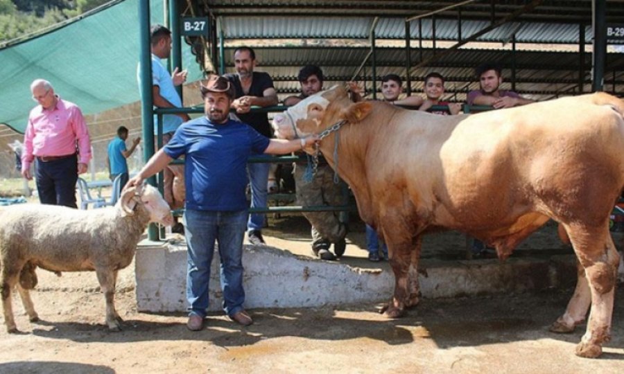 Kurban kesimi 'randevu' sistemiyle yapılacak