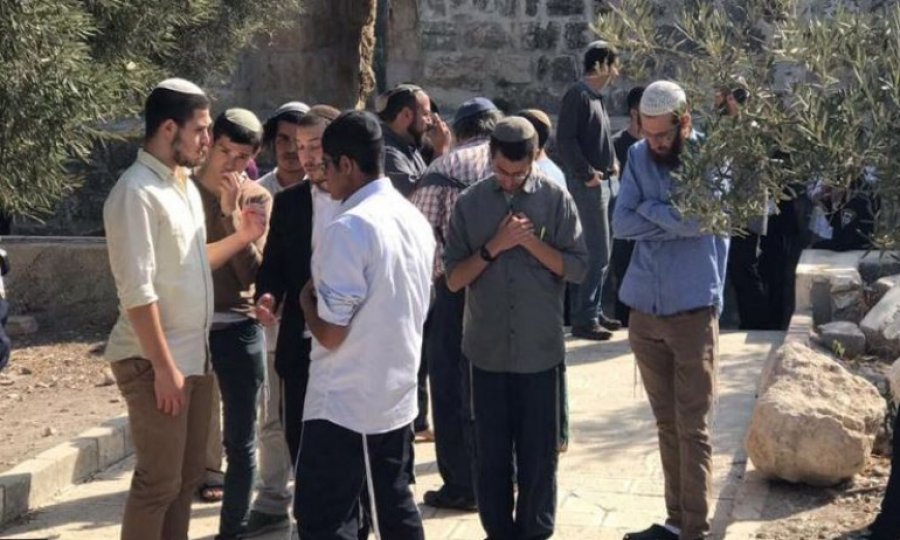 Baskınlar 'sıradanlaştırılarak' nereye varılmak isteniyor?
