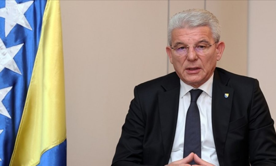 "Sırplar soykırımı inkar yasasını kaldırmak istiyor"