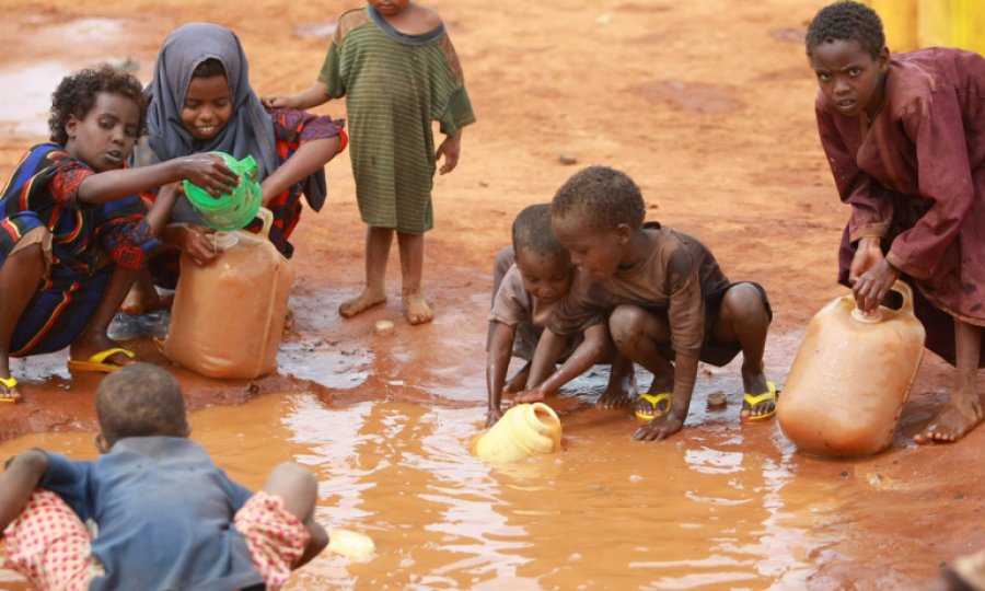 BM: Afrika'da çocuklar ölü hayvan derisi ile besleniyor