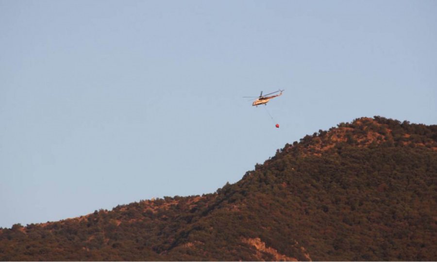 Pakdemirli: 98 orman yangınının 88’ini kontrol altına aldık, 10 yangın sürüyor