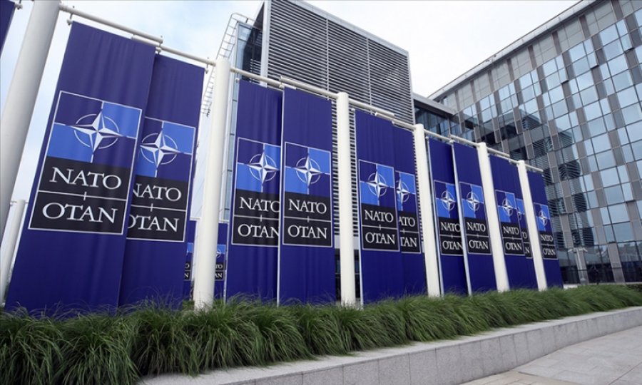 Finlandiya'nın NATO üyeliğine başvurmaya hazırlandığı iddia edildi