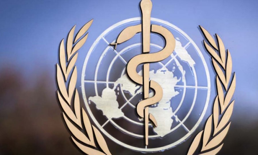 DSÖ'den Avrupa'ya 'maymun çiçeği' uyarısı