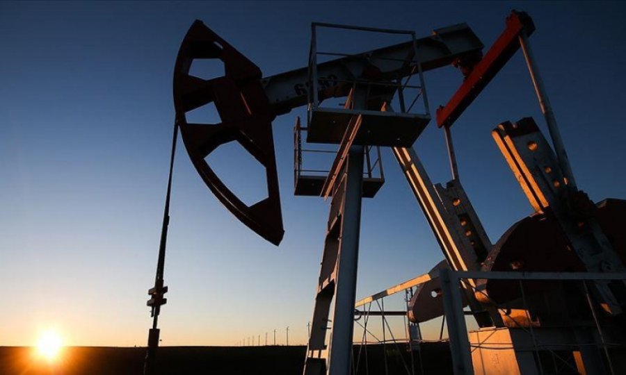 Avrupa, Rusya'ya enerji yaptırımlarında frene basıyor
