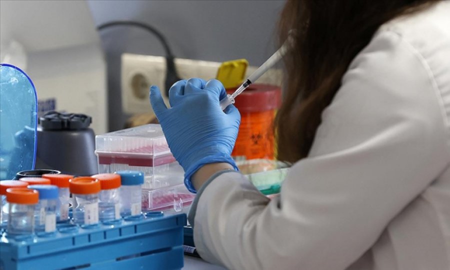 DSÖ'ye göre dünya genelinde maymun çiçeğinden 3 kişi öldü