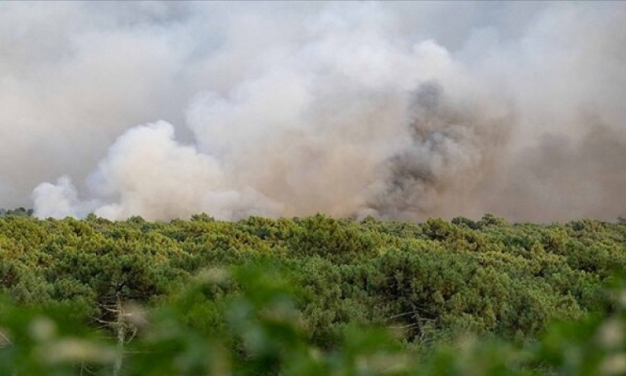 Fransa'da 7 gün önce başlayan yangın hala söndürülemedi
