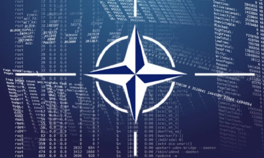 NATO'nun gizli belgeleri sızdırıldı